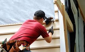 Best Custom Siding Design  in Cibolo, TX